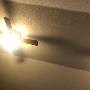 Meet your Posher, Maile